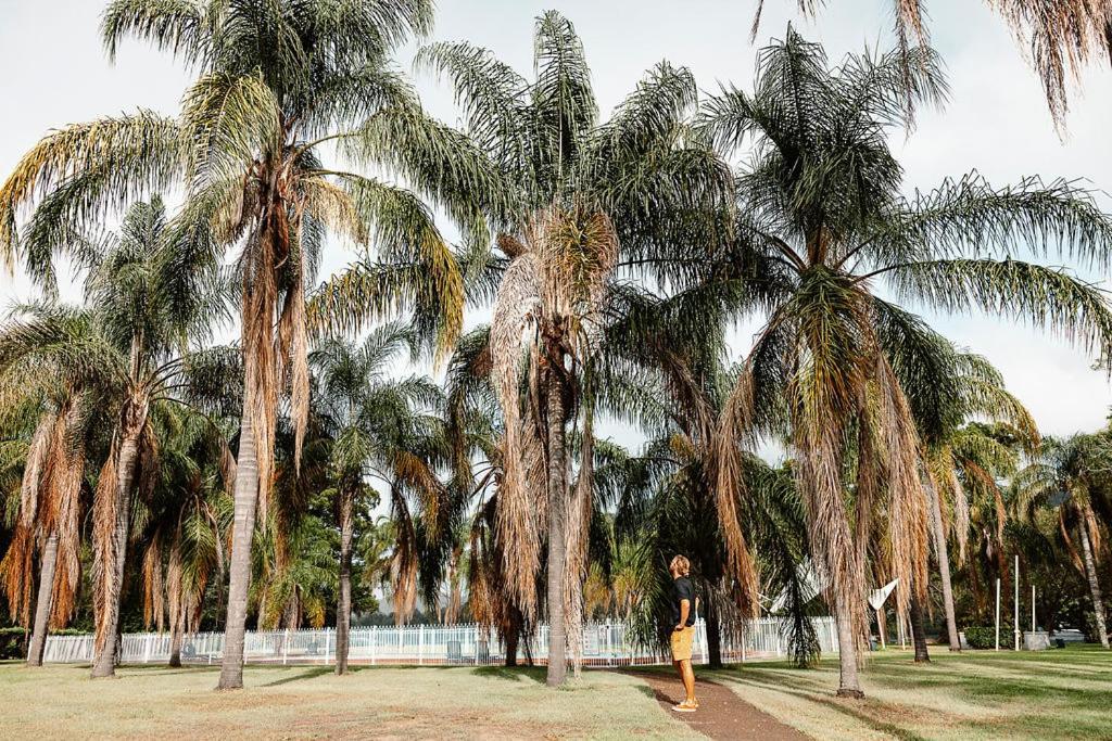 موتيل فيزمان فيري Wisemans Retreat المظهر الخارجي الصورة