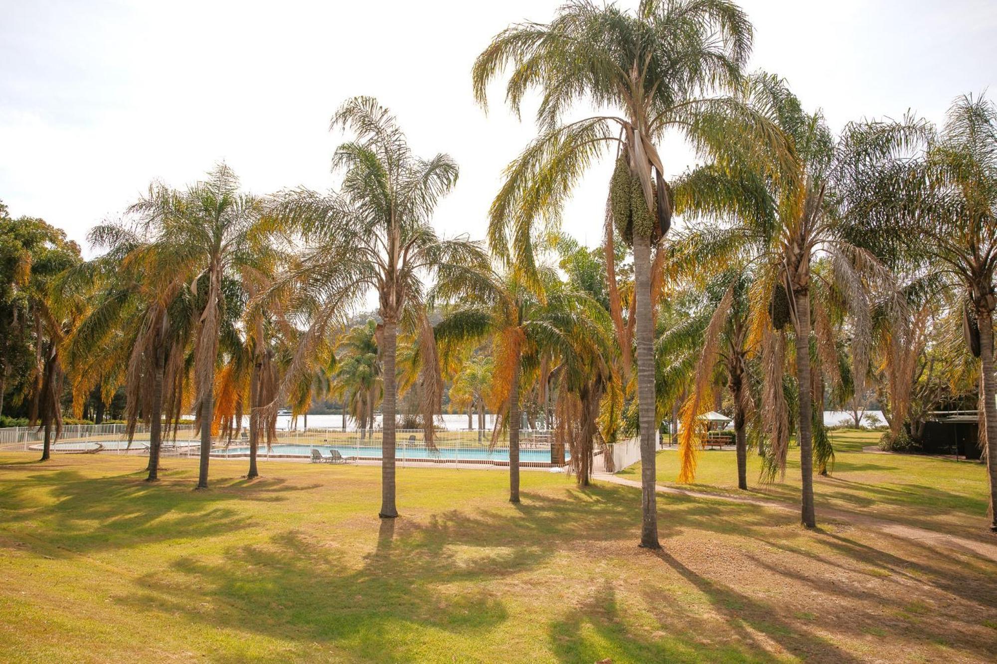 موتيل فيزمان فيري Wisemans Retreat المظهر الخارجي الصورة